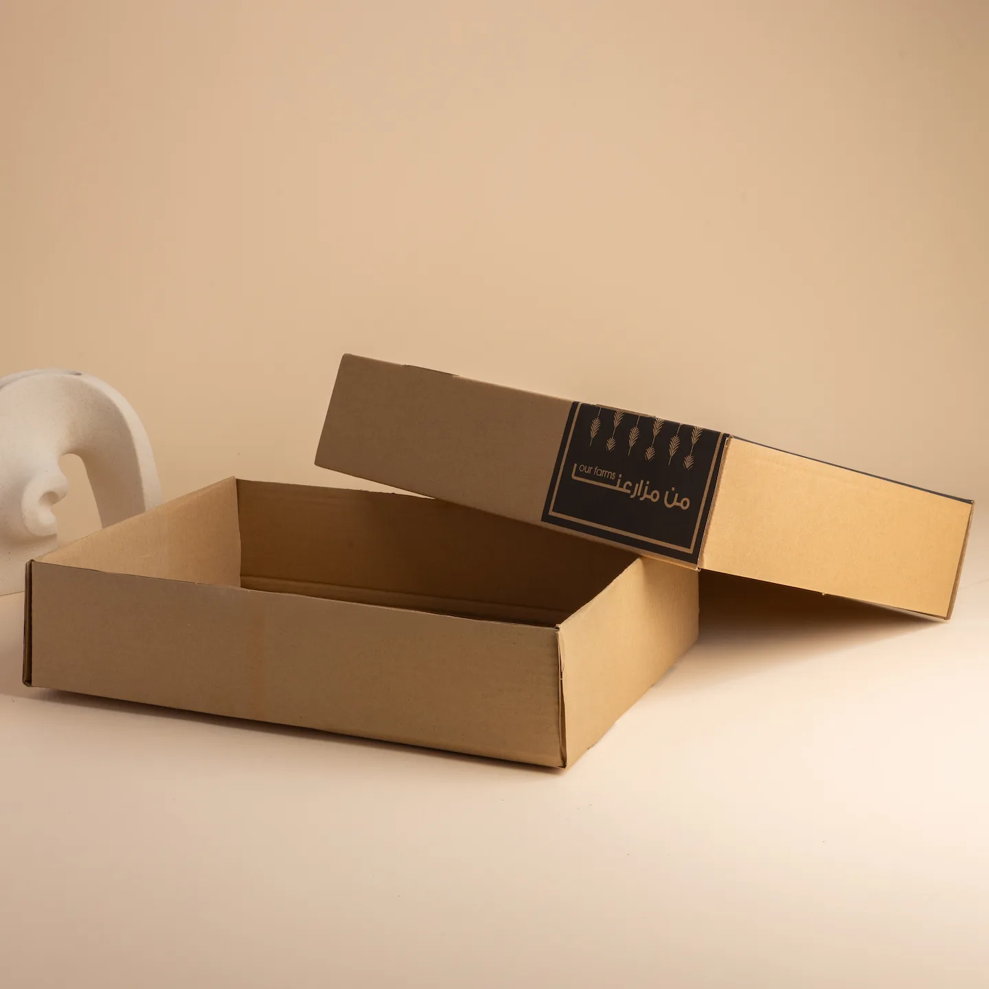 تخزين موثوق للتمر خلال موسم الحصاد 5KG Date Storage Box is a sturdy 5KG box built for daily use during harvest season to keep your fresh dates fully protected and high quality.